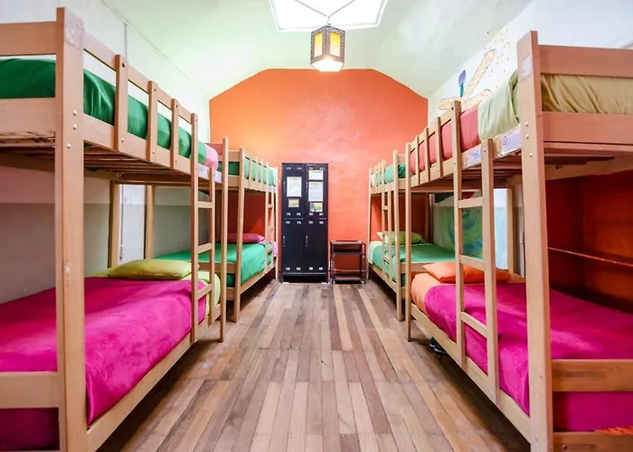 Hostel Dragonfly