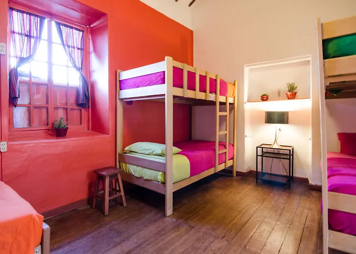 Hostel Dragonfly *