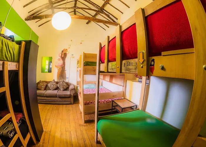 Dragonfly Hostel *