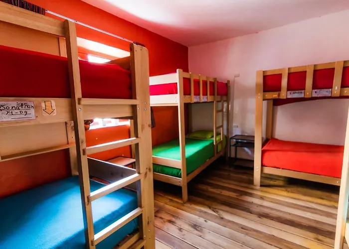 Dragonfly Hostel